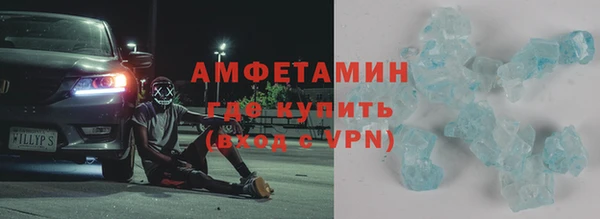 прущие грибы Белокуриха