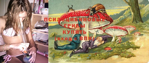 прущие грибы Белокуриха