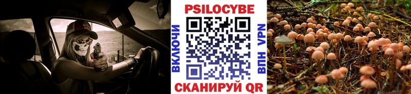 Псилоцибиновые грибы прущие грибы  как найти закладки  Верхний Уфалей 